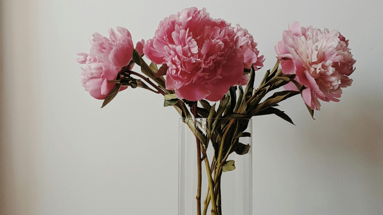 Flores para alegrar el ambiente