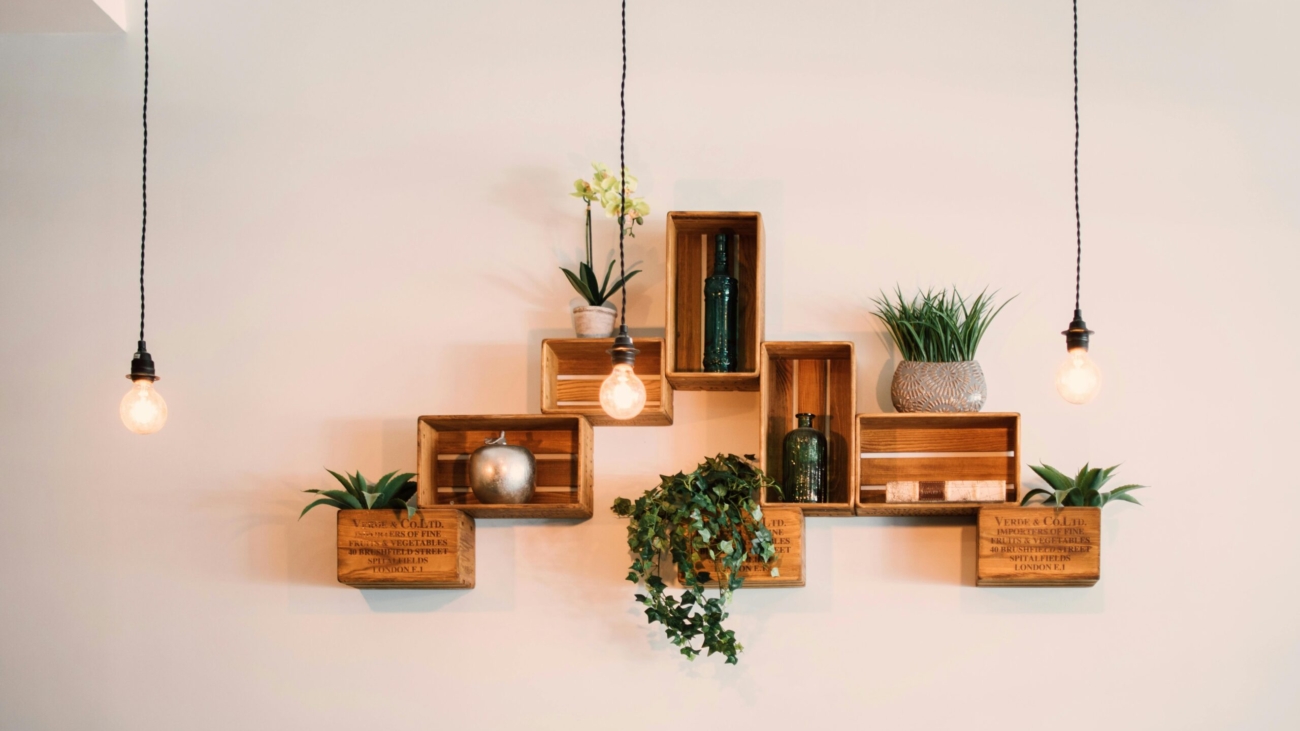 Decorativos con plantas