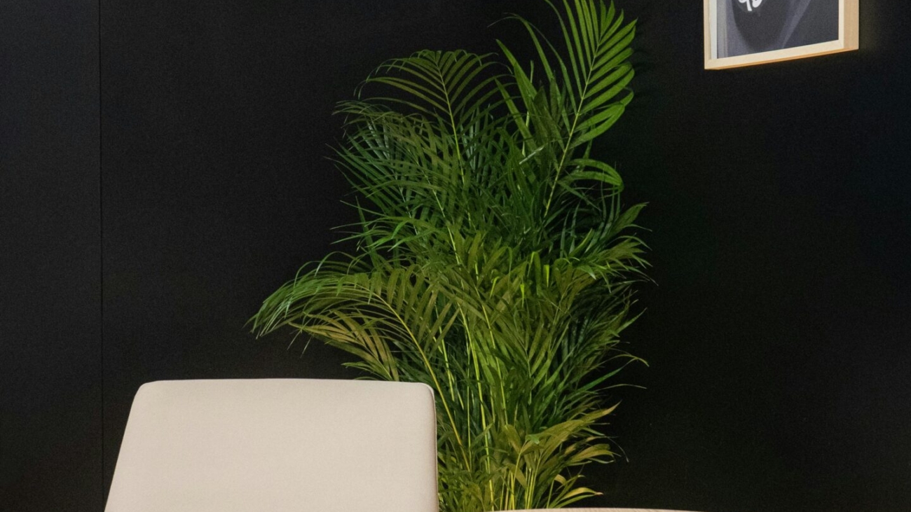 Diseño interior salón