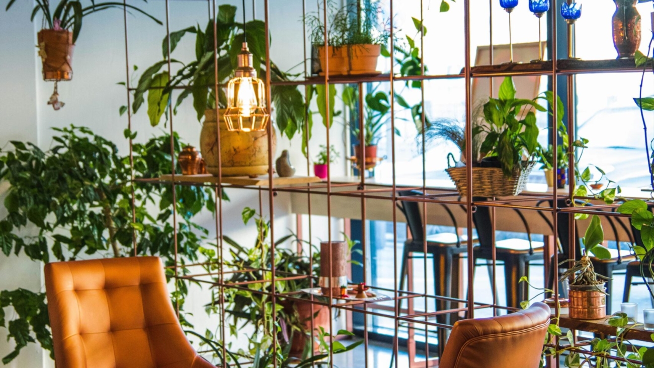 diseño biofilico interior